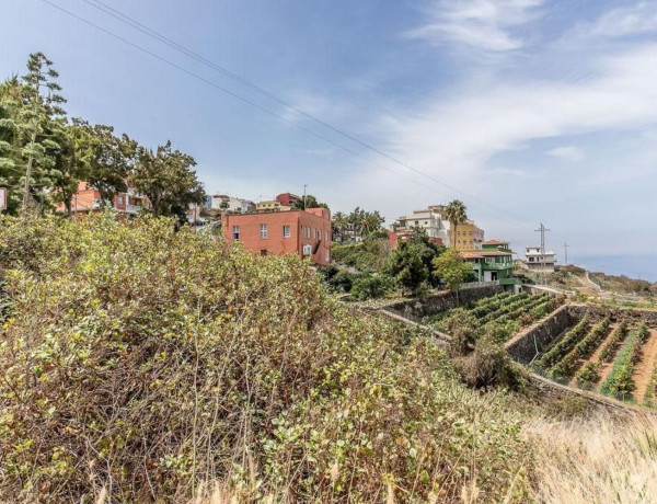 Terreno en venta en La Guancha