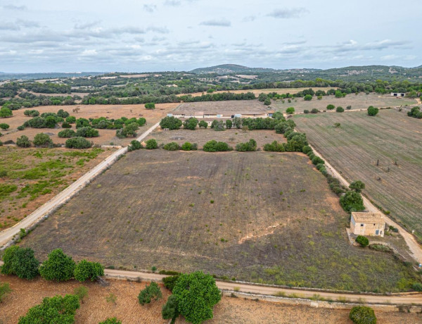 Terreno en venta en Manacor Centro