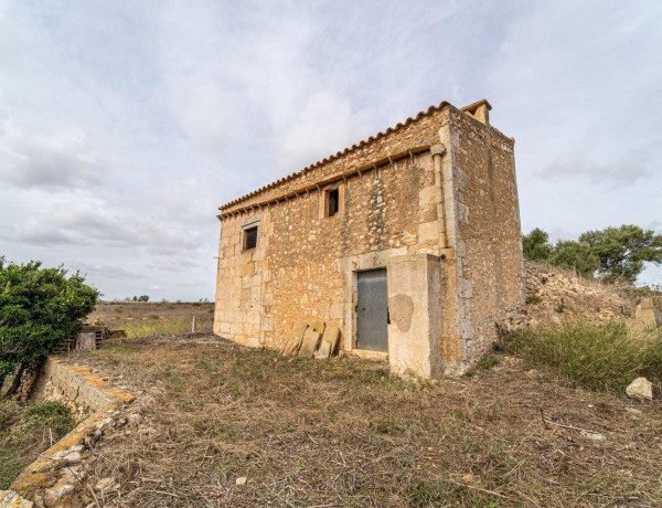 Terreno en venta en Manacor Centro