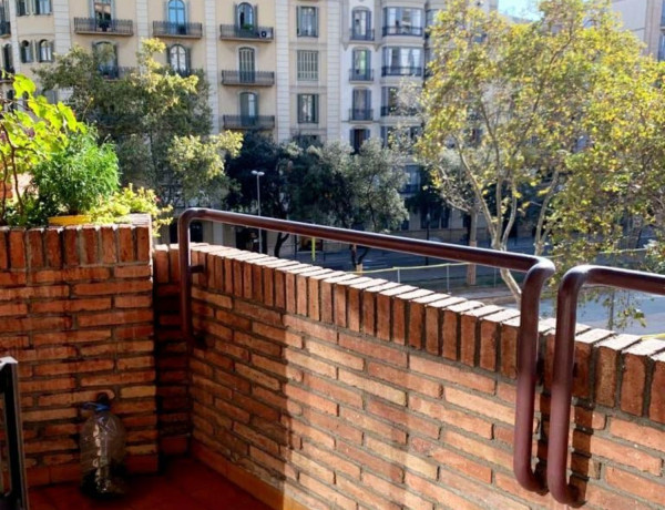 Alquiler de Piso en calle de Bailèn