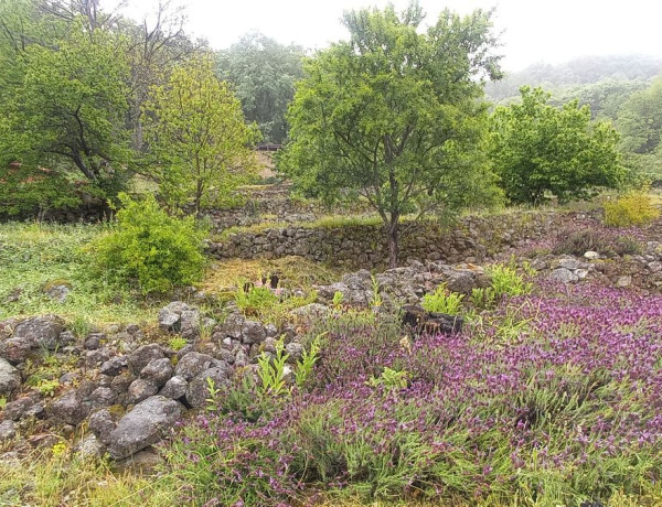 Finca rústica en venta en plaza Garganta la Olla, 1