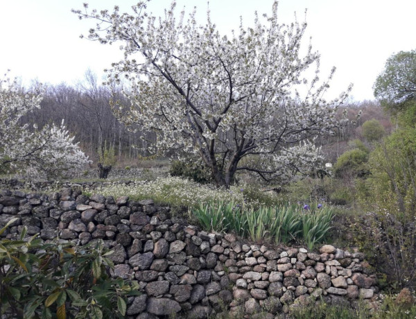 Finca rústica en venta en plaza Garganta la Olla, 1