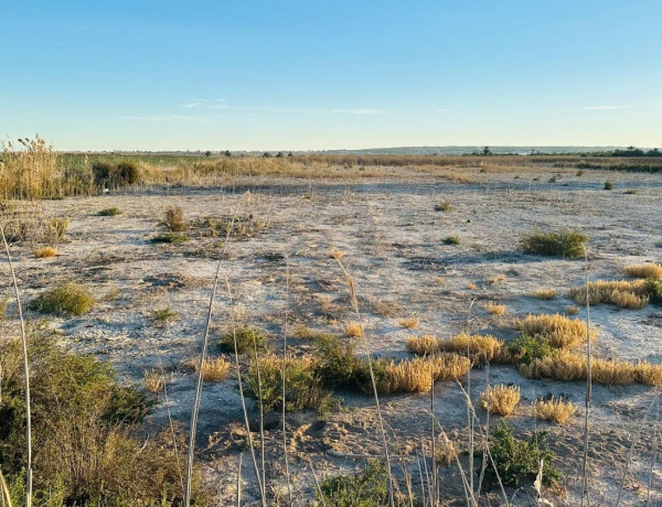 Terreno en venta en La Hoya-Daimes-El Derramador