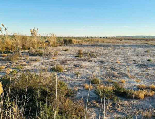 Terreno en venta en La Hoya-Daimes-El Derramador