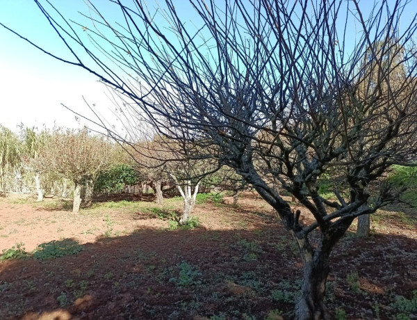 Finca rústica en venta en Hoya Del Pedregal