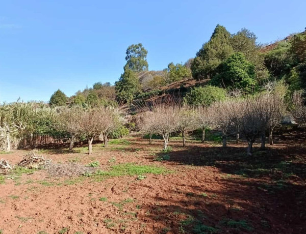 Finca rústica en venta en Hoya Del Pedregal