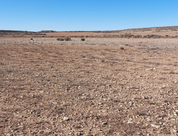 Terreno en venta en camino de las Menorcas, km 5