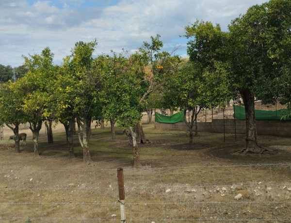 Terreno en venta en carretera de la vega s/n