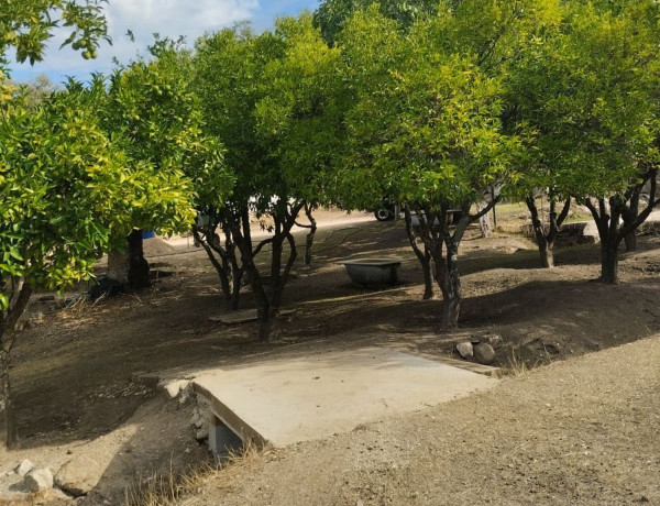 Terreno en venta en carretera de la vega s/n