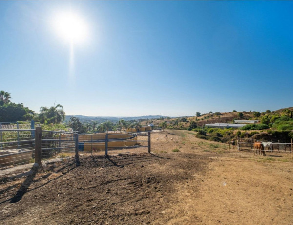 Finca rústica en venta en La Cala Golf - Lagar Martell