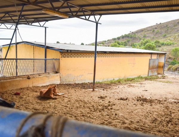 Finca rústica en venta en La Cala Golf - Lagar Martell