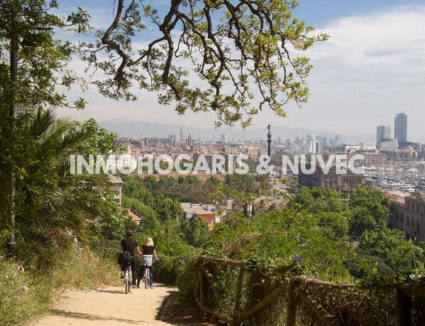 Alquiler de Local en calle de Violant d'Hongria Reina d'Aragó