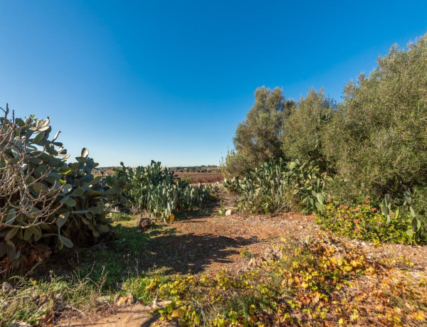 Casa rural en venta en Santa Margalida