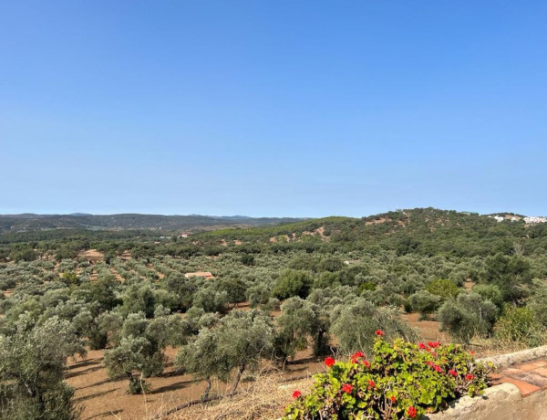 Finca rústica en venta en Las Tobas