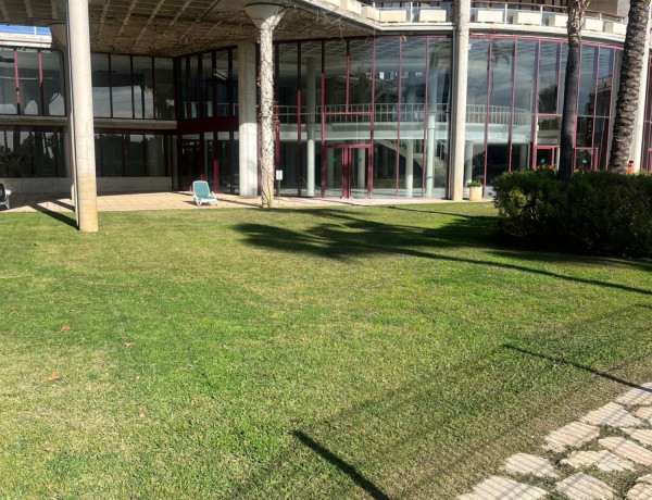 Alquiler de Ático en Parque Botánico Las Lomas de Guadalmina, 32