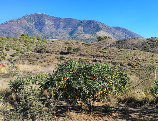 Terreno en venta en Urbanizacion Torreblanca del Sol