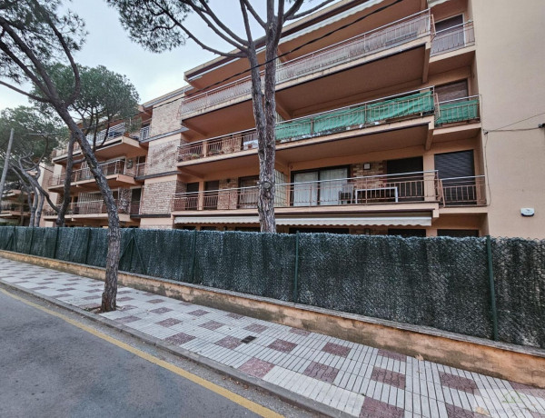 Piso en venta en Platja Llarga