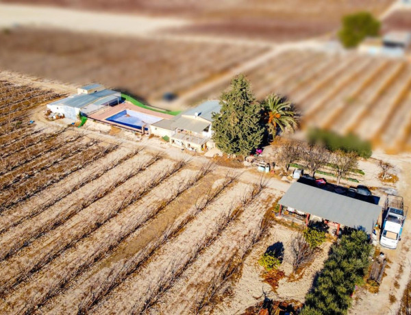 Terreno en venta en Cieza