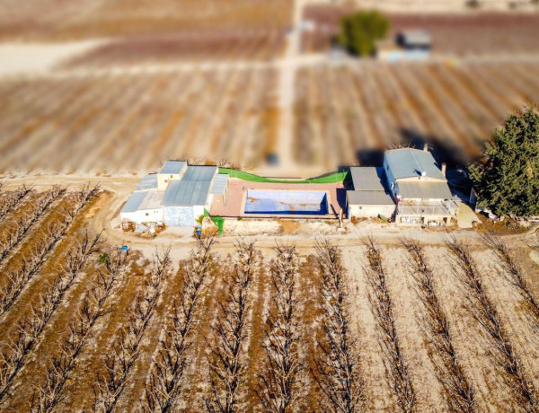 Terreno en venta en Cieza