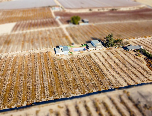 Terreno en venta en Cieza