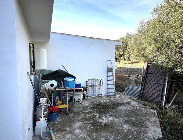 Finca rústica en venta en camino de Casarabonela a Álora