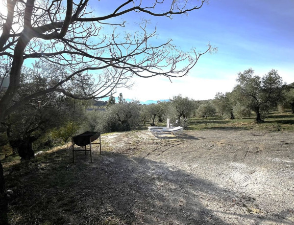 Finca rústica en venta en camino de Casarabonela a Álora