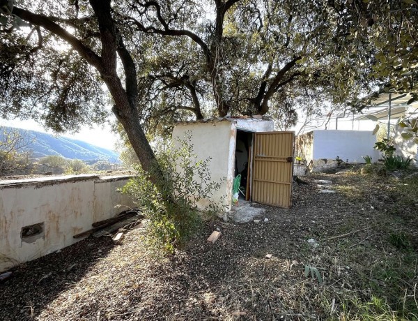 Finca rústica en venta en camino de Casarabonela a Álora