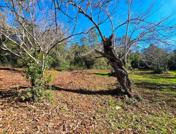 Terreno en venta en Galaroza