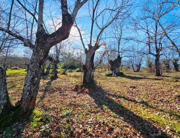 Terreno en venta en Galaroza