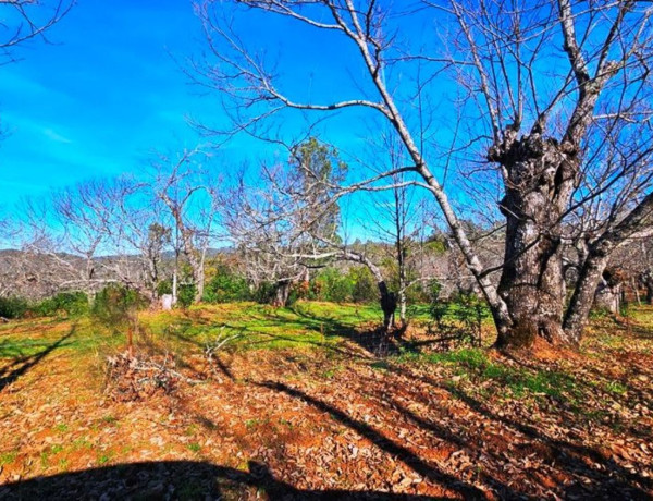 Terreno en venta en Galaroza