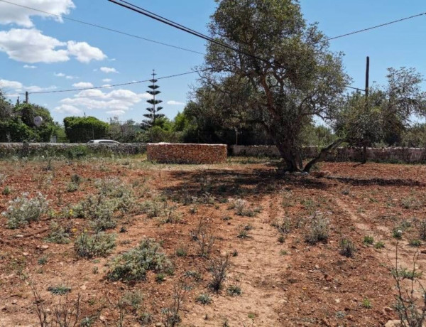 Alquiler de Finca rústica en Urb. s'Estanyol, Llucmajor Interior