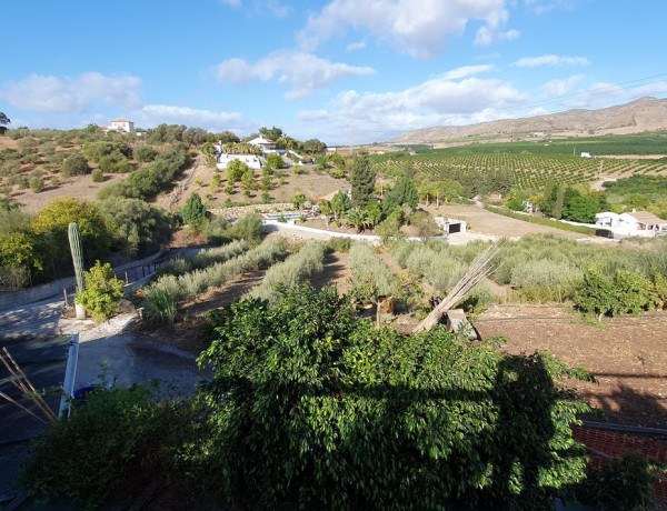 Terreno en venta en palo verde