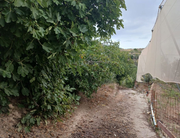 Terreno en venta en Partida Onaer