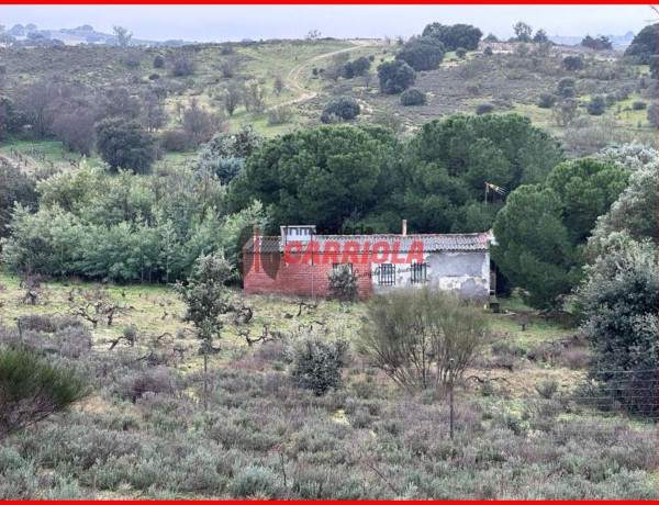 Finca rústica en venta en La Torre de Esteban Hambran