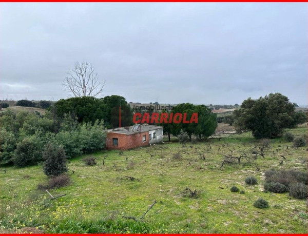 Finca rústica en venta en La Torre de Esteban Hambran