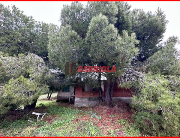 Finca rústica en venta en La Torre de Esteban Hambran