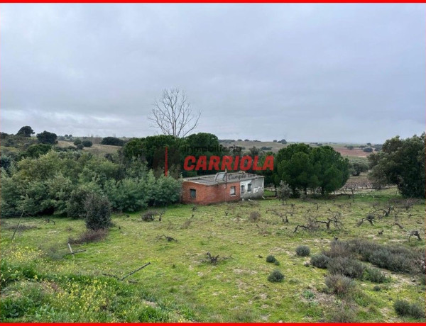 Finca rústica en venta en La Torre de Esteban Hambran