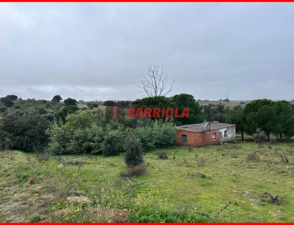 Finca rústica en venta en La Torre de Esteban Hambran