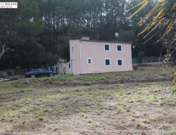 Finca rústica en venta en Llubi