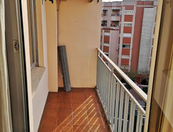 Piso en venta en Zona Parque Geólogo José Royo Gómez