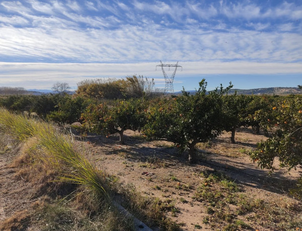 Terreno en venta en Partida del Frontis s/n