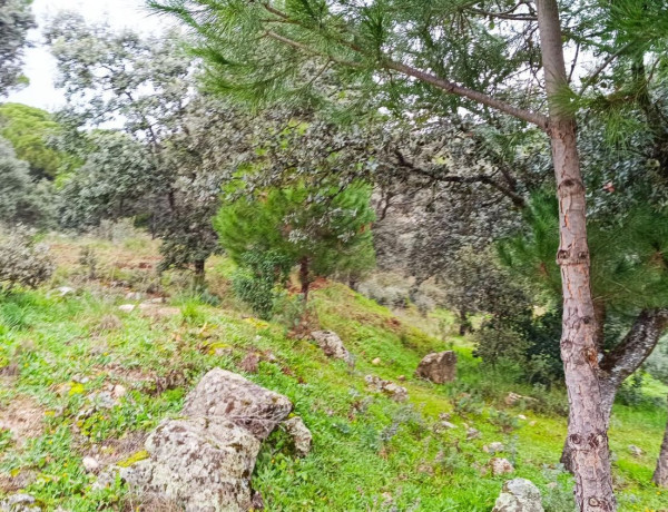 Terreno en venta en Villa del Prado