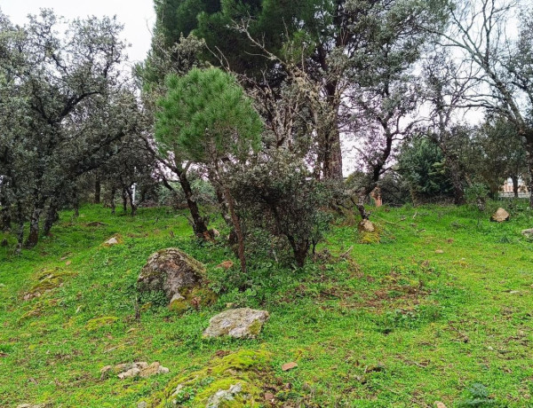 Terreno en venta en Villa del Prado