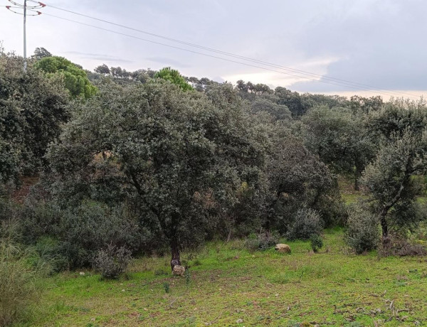 Terreno en venta en Villa del Prado