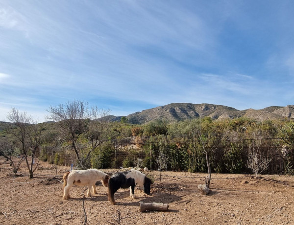 Casa o chalet independiente en venta en Pedralba