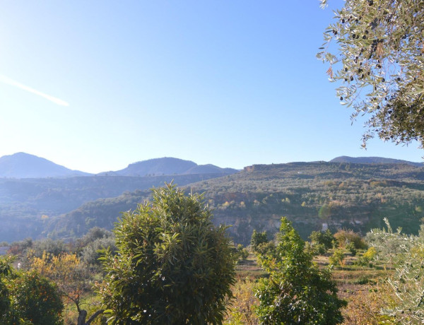 Terreno en venta en calle Carretera