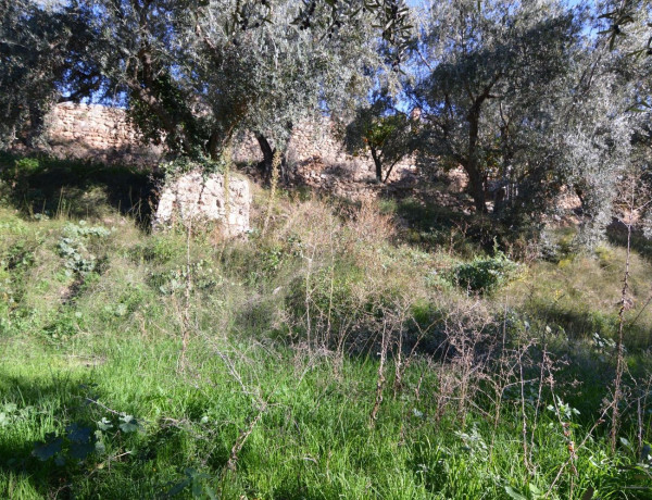 Terreno en venta en calle Carretera