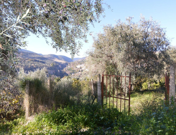 Terreno en venta en calle Carretera