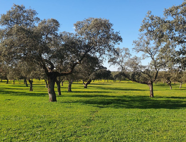 Terreno en venta en carretera De Villanueva De Cordoba