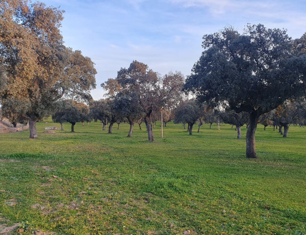 Terreno en venta en carretera De Villanueva De Cordoba